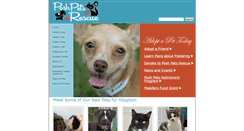 Desktop Screenshot of poshpetsrescue.org