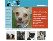 Tablet Screenshot of poshpetsrescue.org